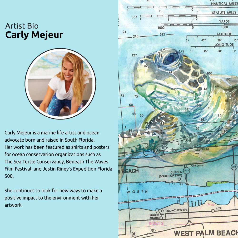 Insulated Beverage Bag - Carly Mejeur -  Sea Turtle