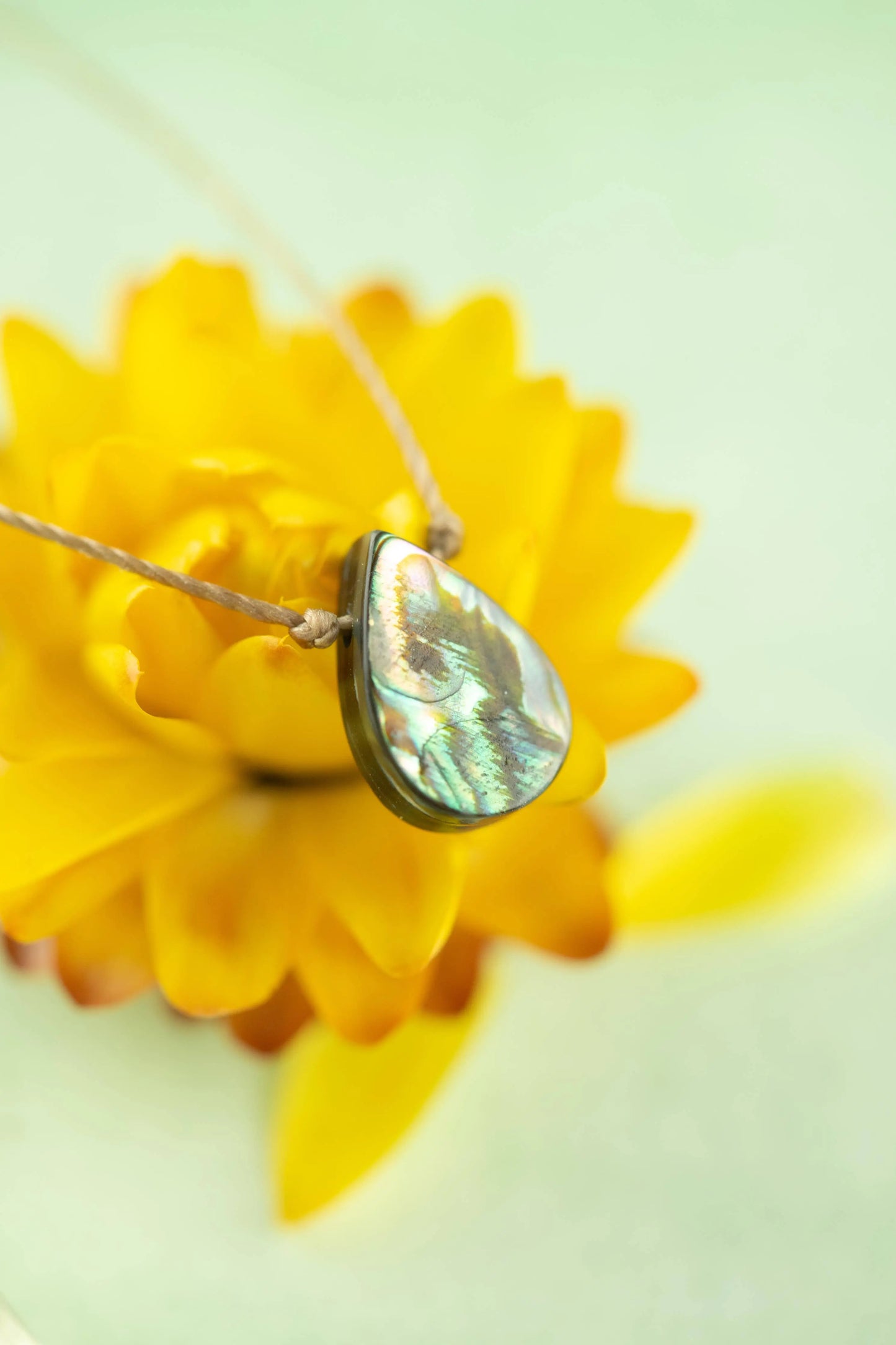 Abalone Soul-Full of Light Necklace for Blessings SoulKu